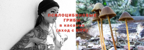 гидропоника Балахна