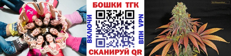 OMG tor  Нововоронеж  Конопля план  цена  